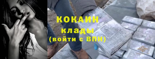 СК Михайлов