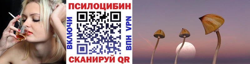 Псилоцибиновые грибы мицелий где купить наркотик darknet телеграм Слюдянка